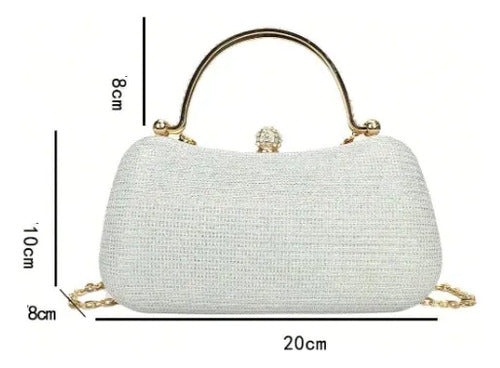 Cartera Fiesta Coctel Día Noche Clutch Mano Ct 11